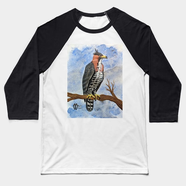 Ornate hawk-eagle perched in the tree hunting for prey Baseball T-Shirt by Matt Starr Fine Art